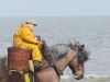 k-IMG_1783.JPG