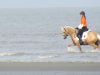 k-IMG_1786.JPG