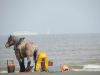 k-IMG_1797.JPG