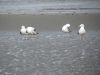 k-IMG_1808.JPG