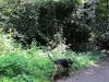 k-20110904-0017.JPG