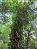 k-20110904-0021.JPG