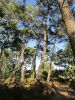 k-20110914-1095.JPG